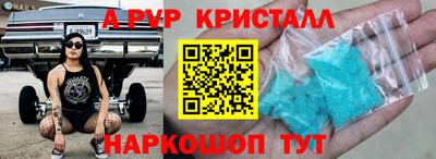 крисы Кингисепп