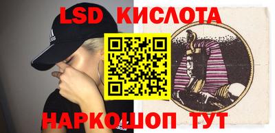 крисы Кингисепп