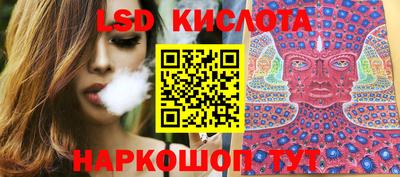 крисы Кингисепп