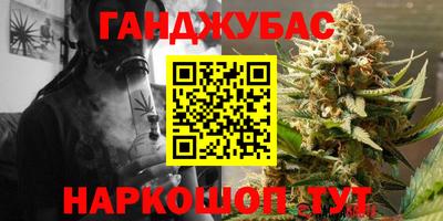крисы Кингисепп