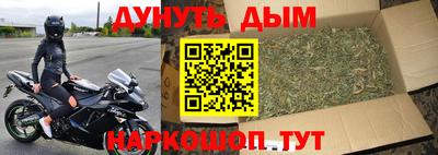 крисы Кингисепп
