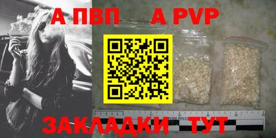 крисы Кингисепп
