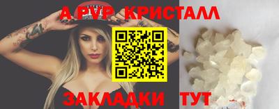 крисы Кингисепп