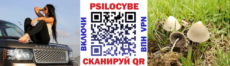 Псилоцибиновые грибы мухоморы  Приморско-Ахтарск 