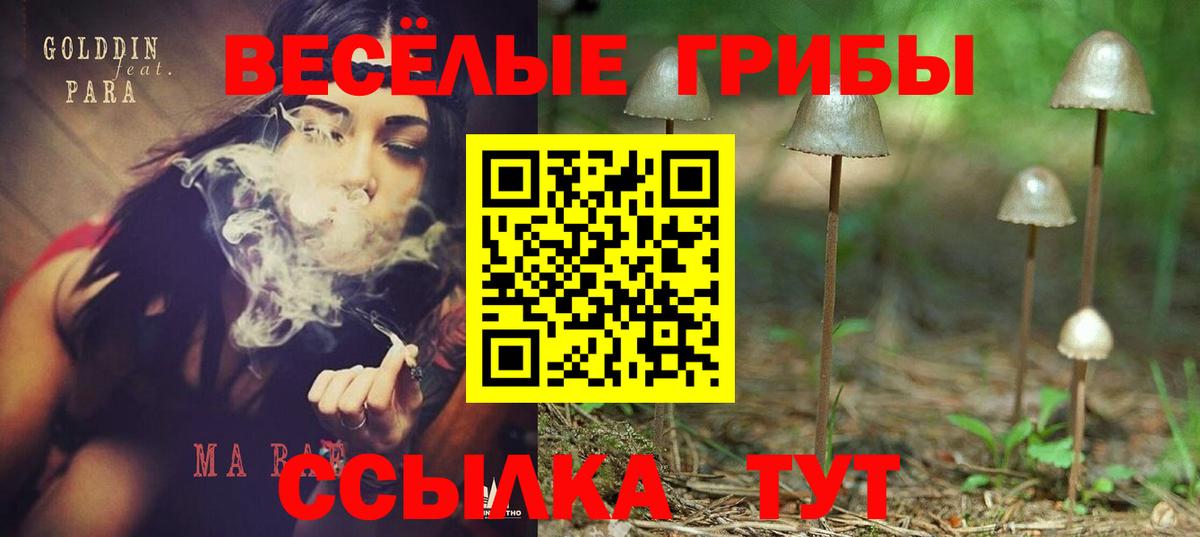 Галлюциногенные грибы мухоморы Приморско-Ахтарск